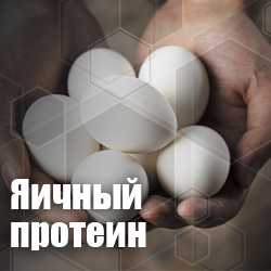 Яичный белок Яичный белок